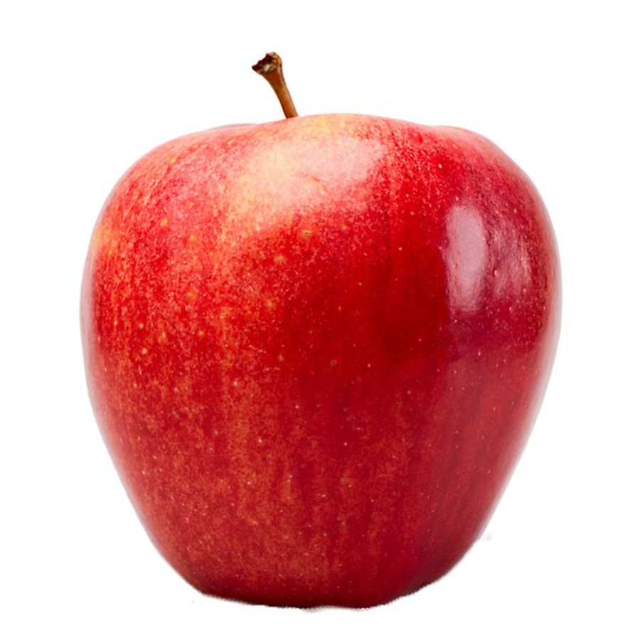 GALA APPLES Ellis Hometown Foods